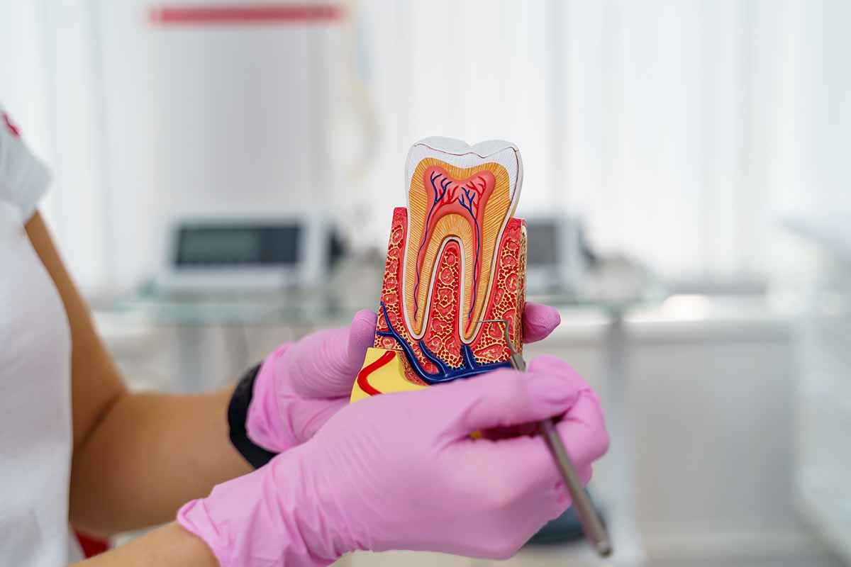 kanal-tedavisi-tekrari-4