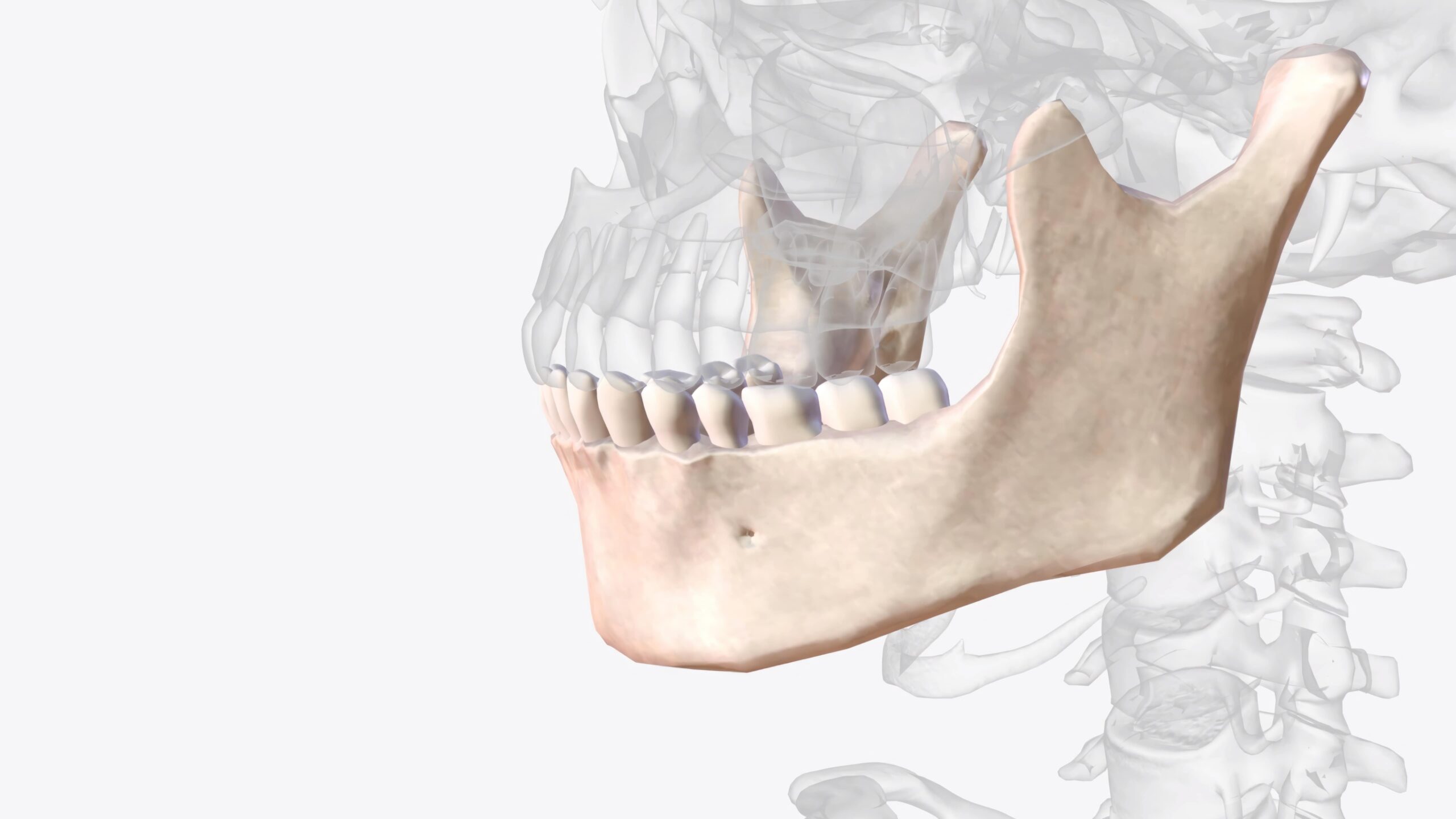 üsküdar-masseter-botoksu